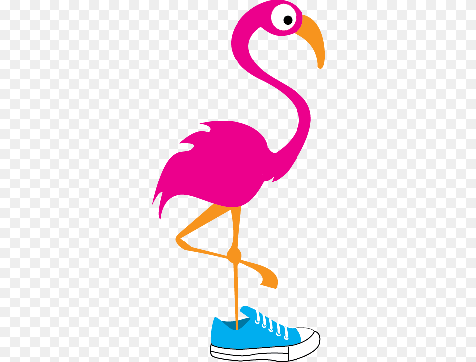 Running Flamingo Hospice Of Guernsey Inc, Animal, Bird, Baby, Person Free Png Download