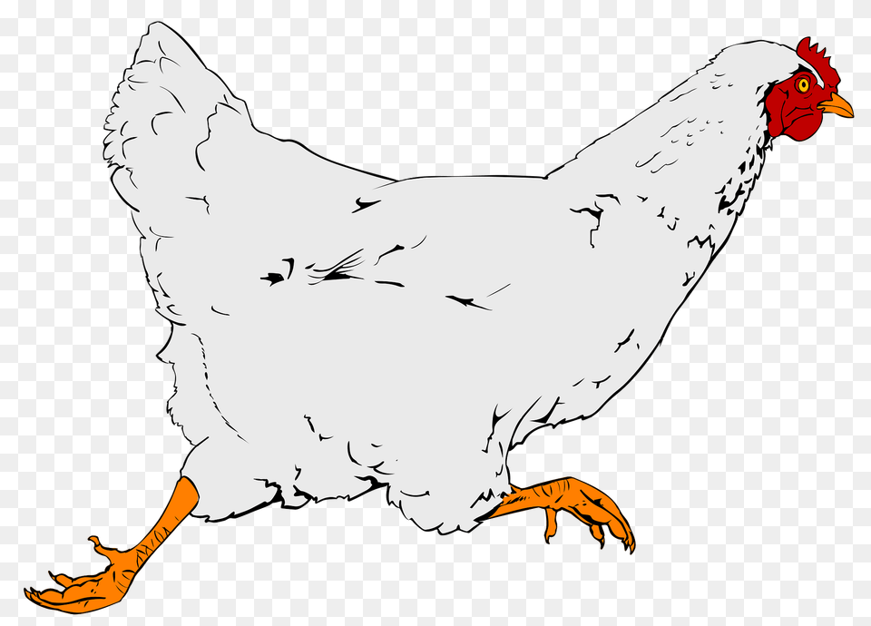 Running Hen Clipart, Animal, Bird, Chicken, Fowl Free Png