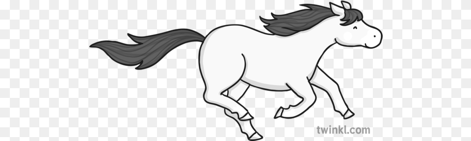 Running Horse Black And White Illustration Twinkl Line Art, Animal, Mammal, Smoke Pipe Png