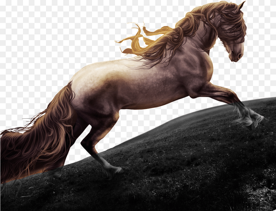 Running Horse Diamond Painting Rhinestones Mosaic 5d Digital Art, Animal, Mammal, Stallion, Colt Horse Free Png