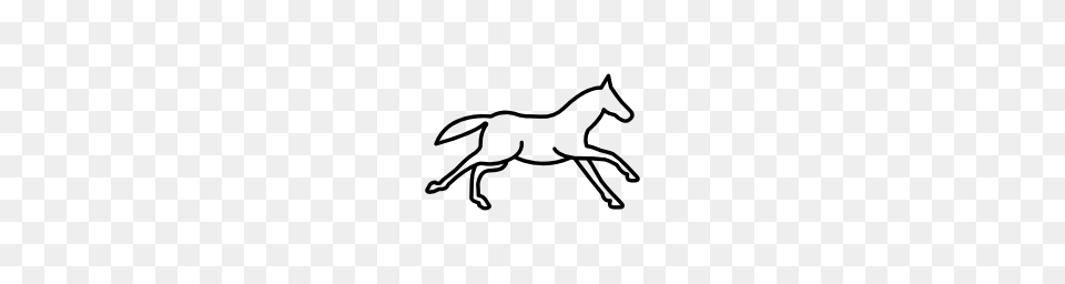Running Horse Outline, Stencil, Animal, Colt Horse, Mammal Png Image