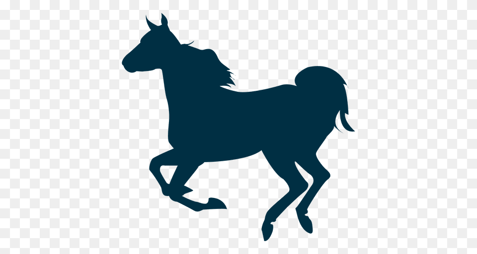 Running Horse Silhouette, Animal, Mammal, Colt Horse, Person Free Png