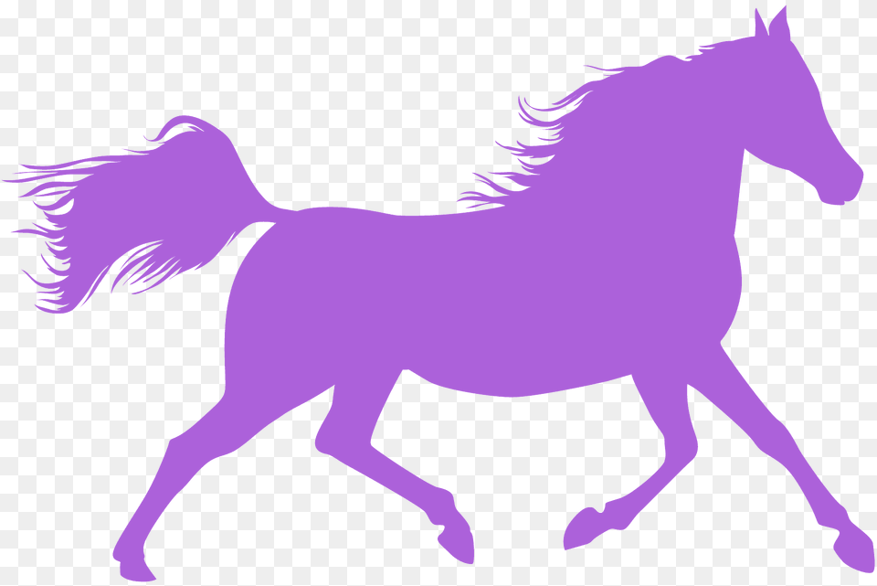 Running Horse Silhouette, Animal, Mammal, Colt Horse Free Transparent Png