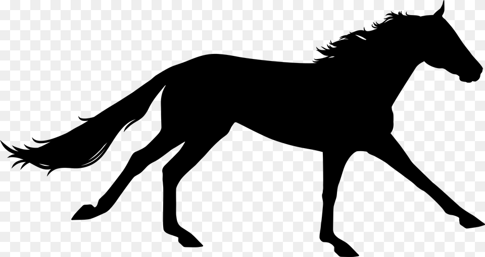 Running Horse Silhouette Clipart Horse Galloping Silhouette, Gray Png
