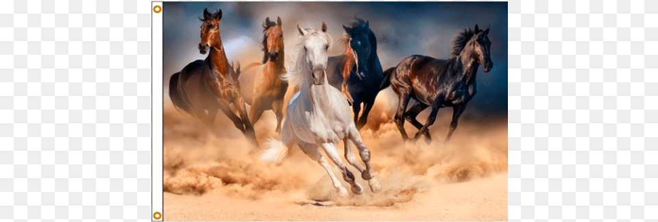 Running Horses Flag Running Horses, Animal, Horse, Mammal, Andalusian Horse Free Png