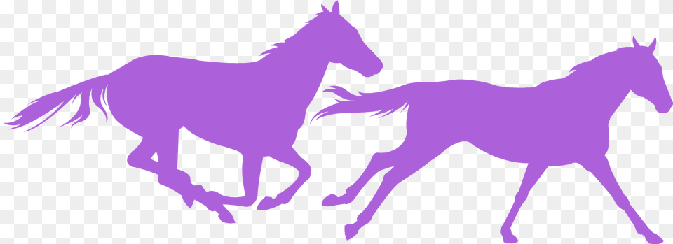 Running Horses Silhouette, Animal, Colt Horse, Horse, Mammal Free Transparent Png