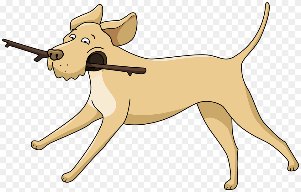 Running Labrador Clipart, Animal, Kangaroo, Mammal Free Transparent Png