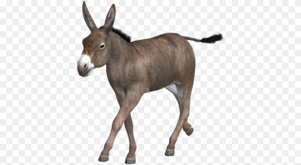 Running Mule Cool Mule, Animal, Donkey, Mammal, Antelope Png