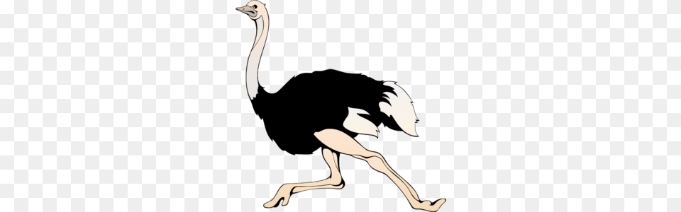 Running Ostrich Clip Art, Adult, Female, Person, Woman Png Image