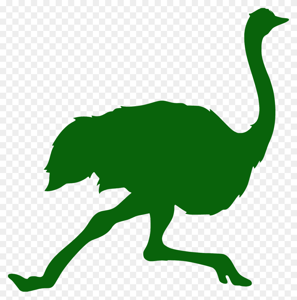 Running Ostrich Silhouette, Animal, Bird, Fish, Sea Life Png