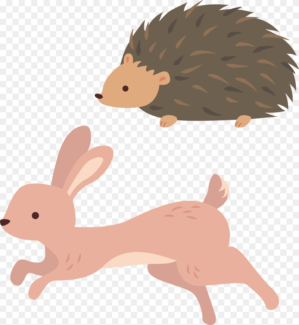 Running Rabbit, Animal, Hedgehog, Mammal, Pig Png Image