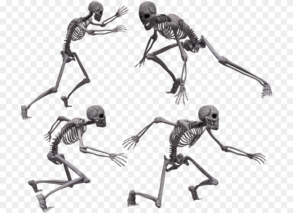 Running Skeleton Skeleton Crawling, Adult, Male, Man, Person Png Image