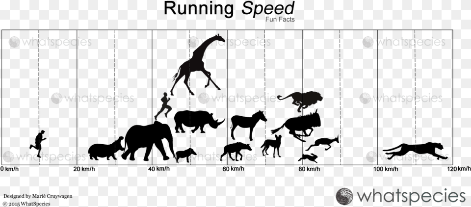Running Speed Cartoon, Nature, Night, Outdoors Png Image