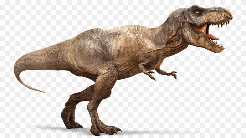 Running T Rex, Animal, Dinosaur, Reptile, T-rex Png Image