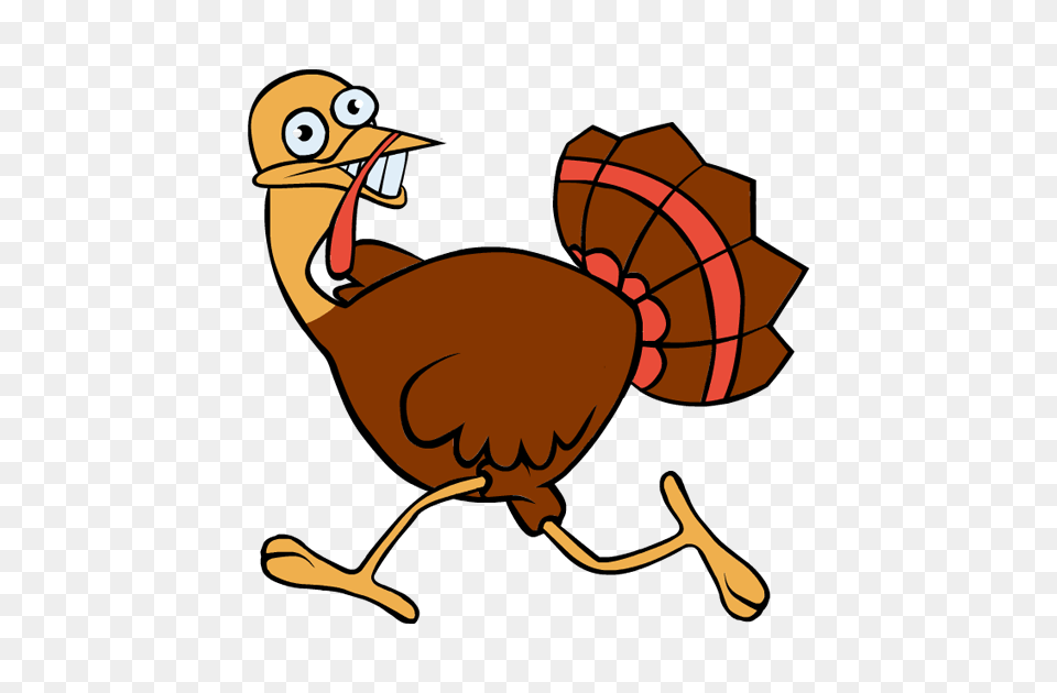 Running Turkey Clipart, Animal, Bird Free Transparent Png