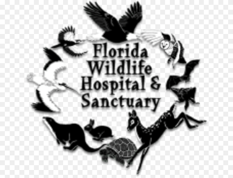 Running Wild 5k Florida Wildlife Sanctuary, Concert, Crowd, Person, Art Free Png