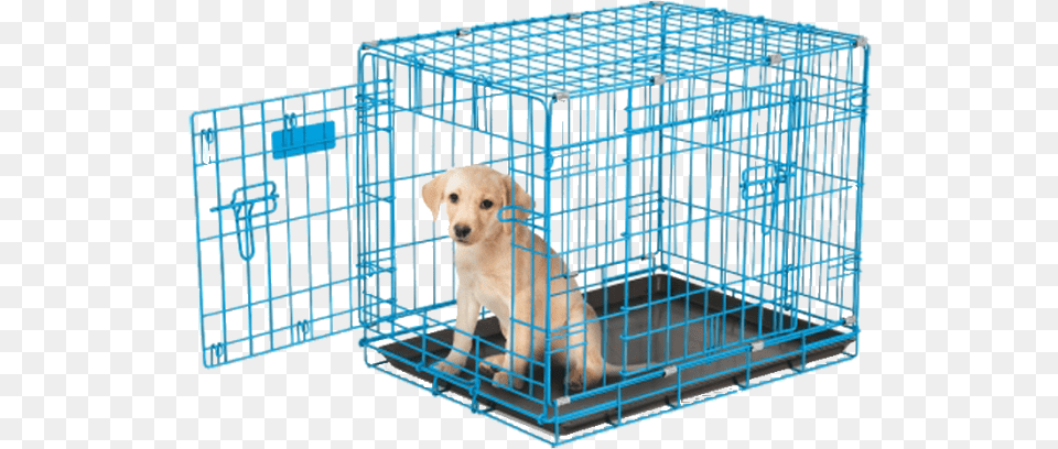 Rural King Dog Cages, Den, Indoors, Animal, Canine Png Image