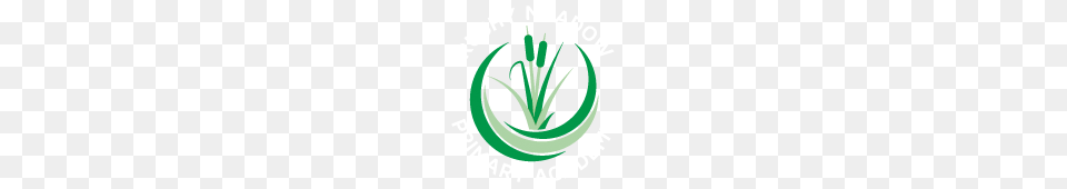 Rushy Meadow Primary Academy, Aloe, Plant, Herbal, Herbs Free Transparent Png