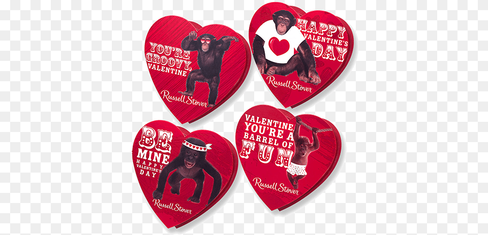 Russell Stover Assorted Chocolates Monkey Valentine Russell Stover Asst Choc Monkeys Heart Mixed Case, Wildlife, Animal, Mammal, Person Free Png Download