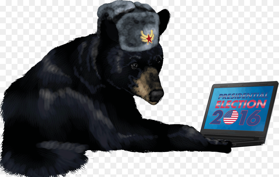 Russian Bear, Animal, Mammal, Wildlife, Electronics Png Image