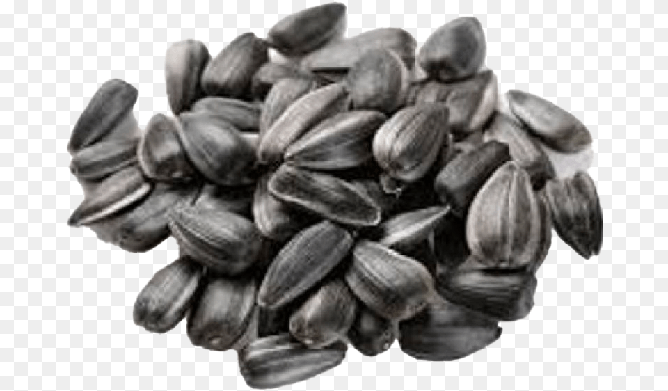 Russian Sunflower Seeds Raw, Food, Produce, Grain, Seed Png