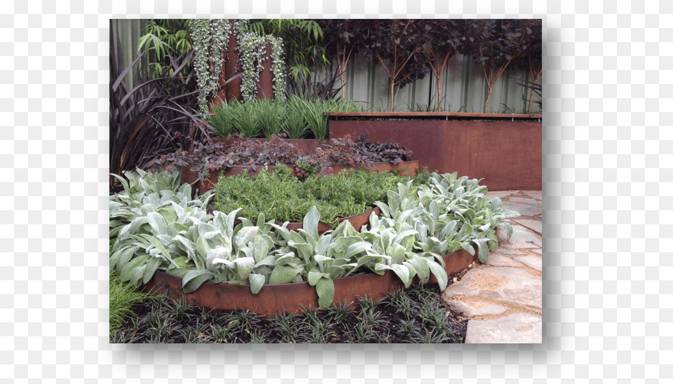Rusted Metal Edging Gardens, Backyard, Vase, Pottery, Potted Plant Free Png