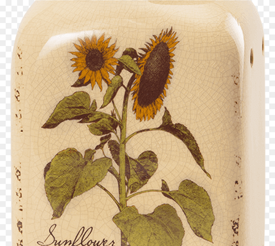 Rustic Sunflower Scentsy Warmer Scentsy Buy Online Scentsy Warmers, Flower, Plant, Pottery, Animal Png