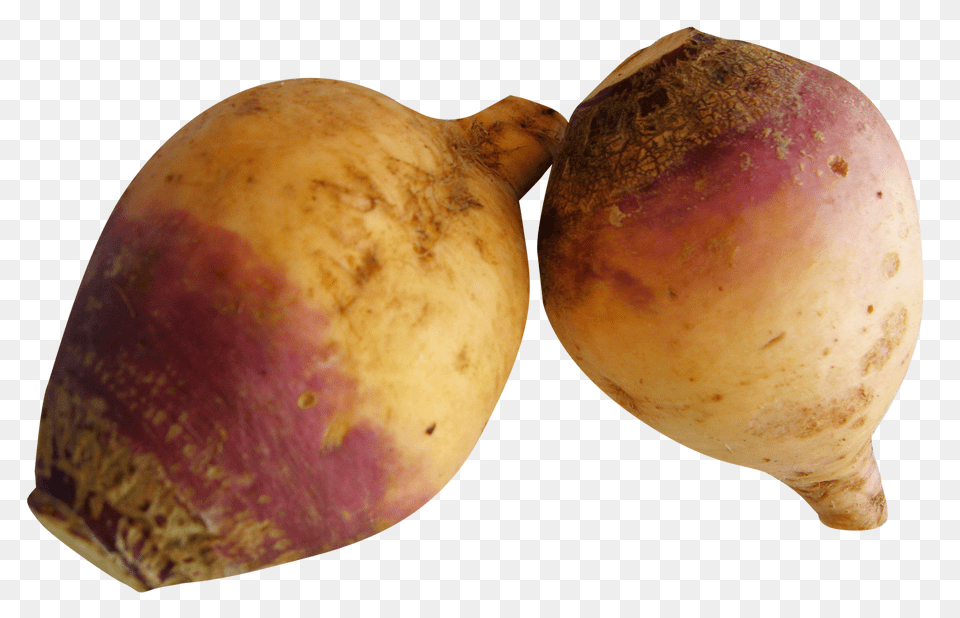 Rutabaga, Food, Plant, Produce, Turnip Free Png