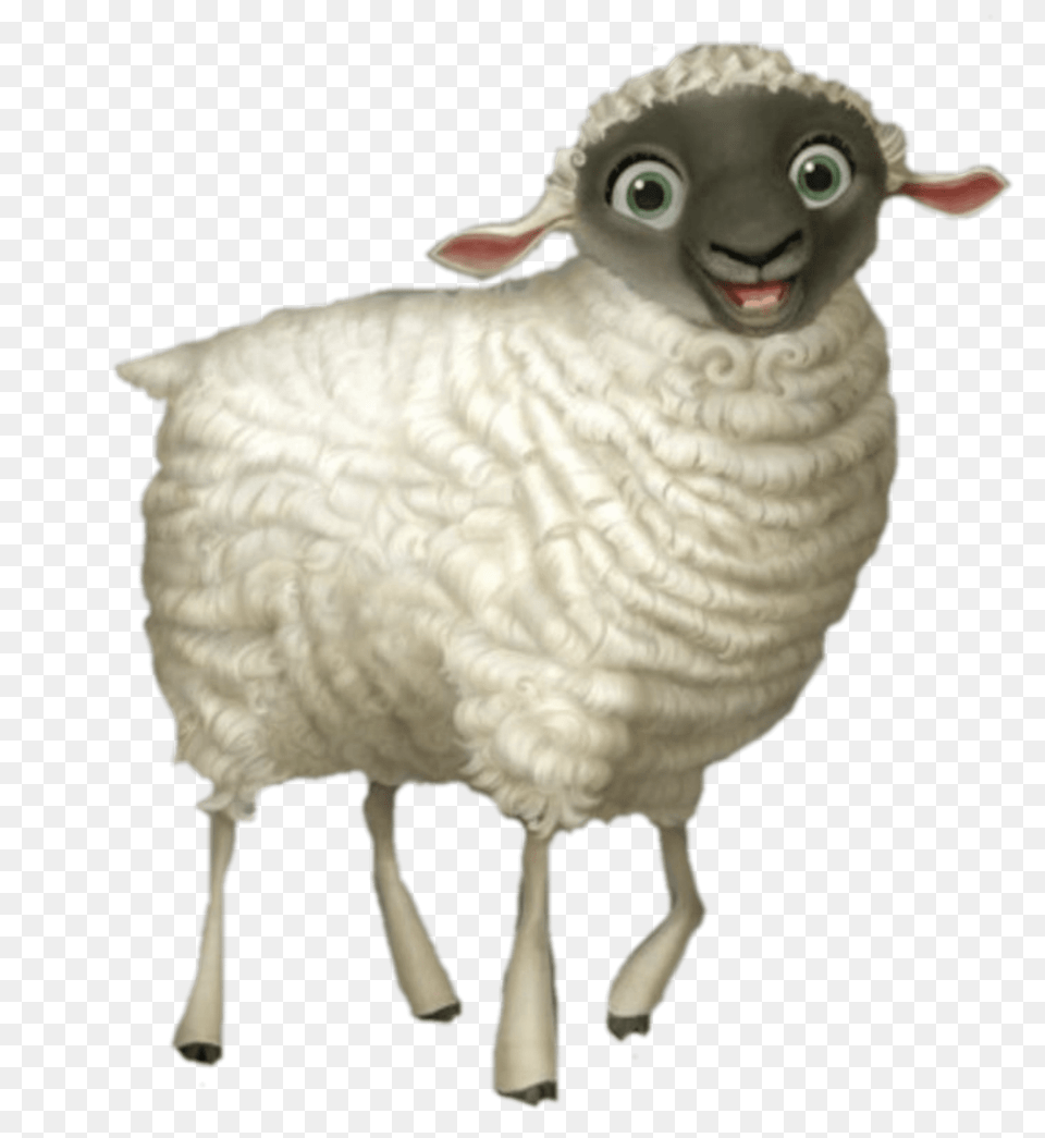 Ruth The Sheep, Animal, Livestock, Mammal Png