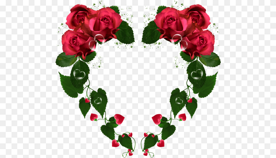 Ruza U Srcu Gifff, Flower, Plant, Rose, Art Png Image