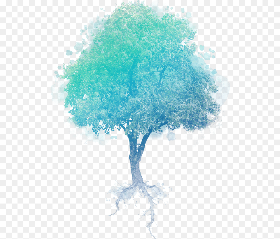 Rvore De Arvores, Tree, Plant, Land, Nature Free Png Download