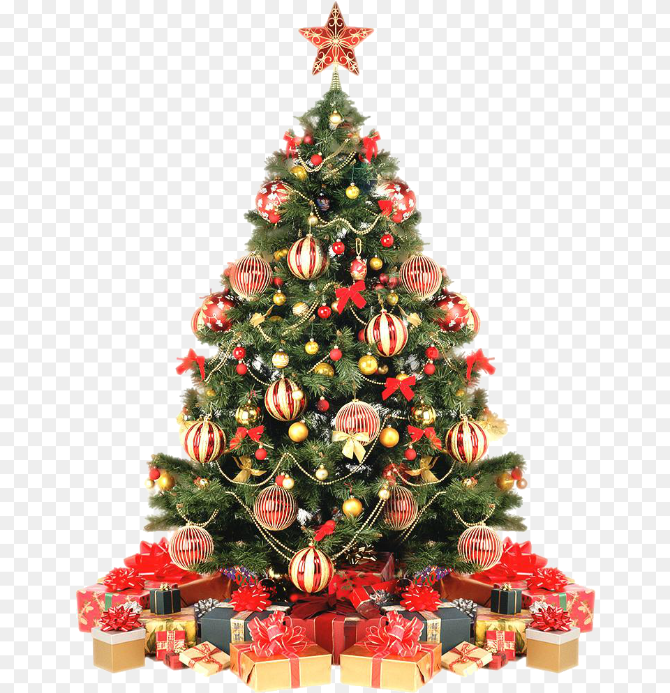 Rvore De Natal 12 Christmas Tree Decorated With A White Background, Christmas Decorations, Festival, Plant, Christmas Tree Png Image