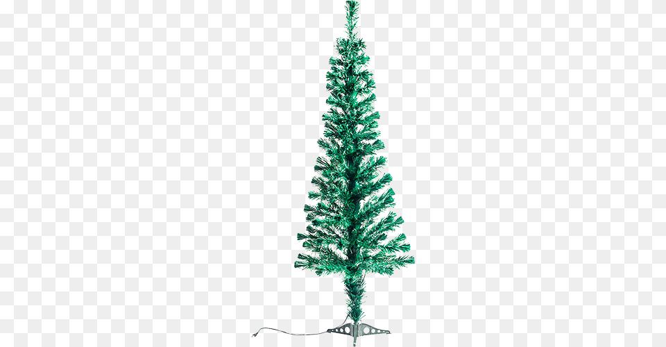 Rvore De Natal Fibra Tica Bivolt 150m 120 Galhos Rvore De Natal Fibra Tica Bivolt 1 50m 120 Galhos, Plant, Tree, Pine, Christmas Png Image