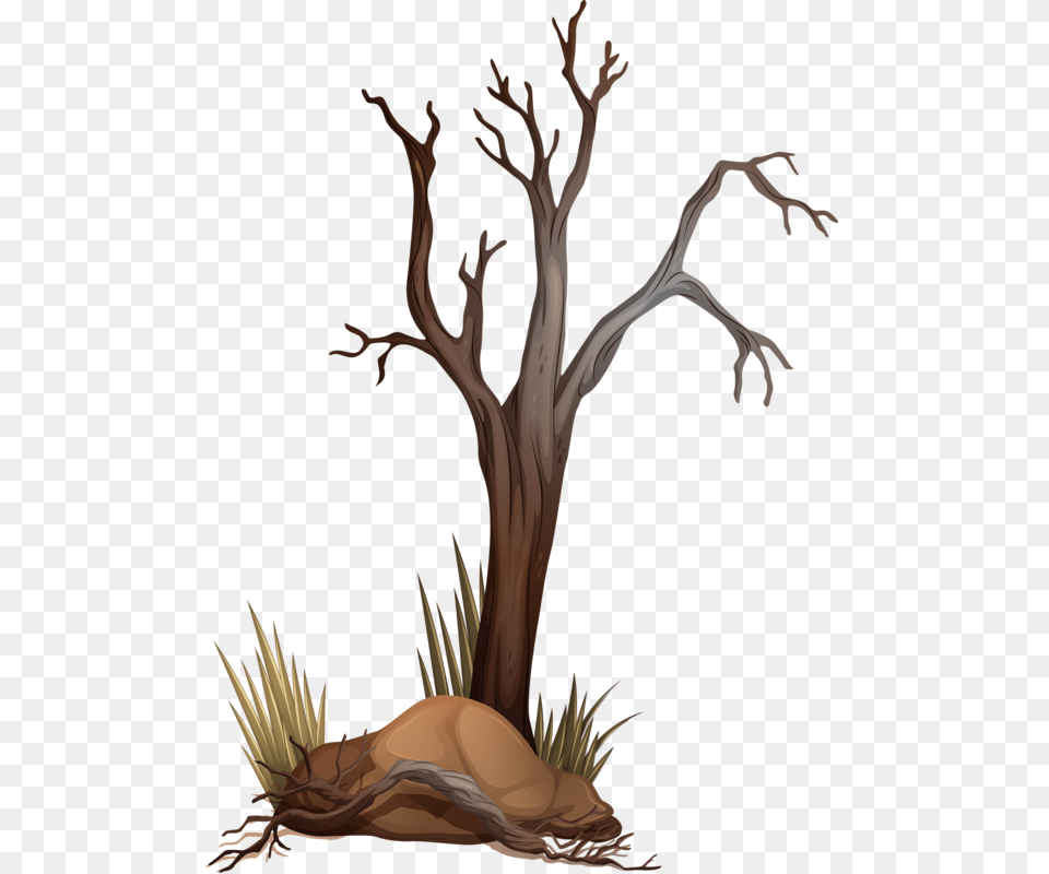 Rvore Seca 2 Frame Background Tree Branches Fall Dying Tree, Wood, Art Free Png