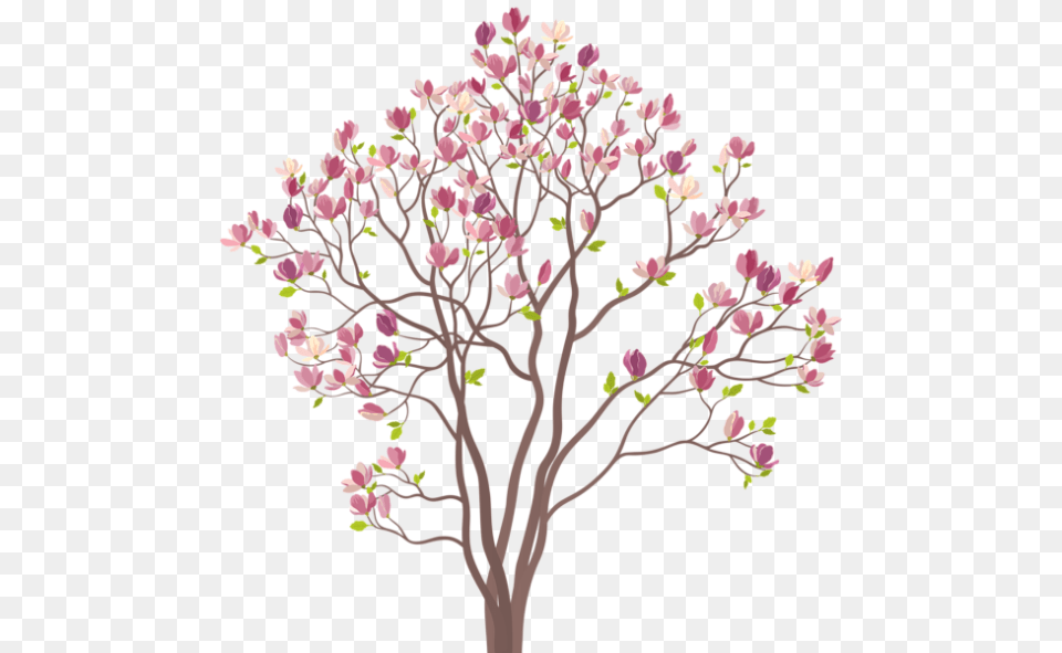 Rvores Rvore Folhas Rosa 2 Seasonal Tree Wall Stickers Uk, Flower, Plant, Cherry Blossom, Art Png Image