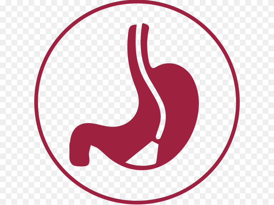 Rwj Endoscopy Icon, Maroon Png Image