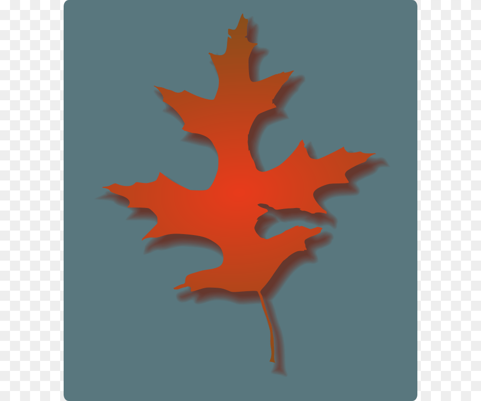 Rwwgub Oak Leaf Autumn, Plant, Tree, Maple Leaf, Animal Free Transparent Png