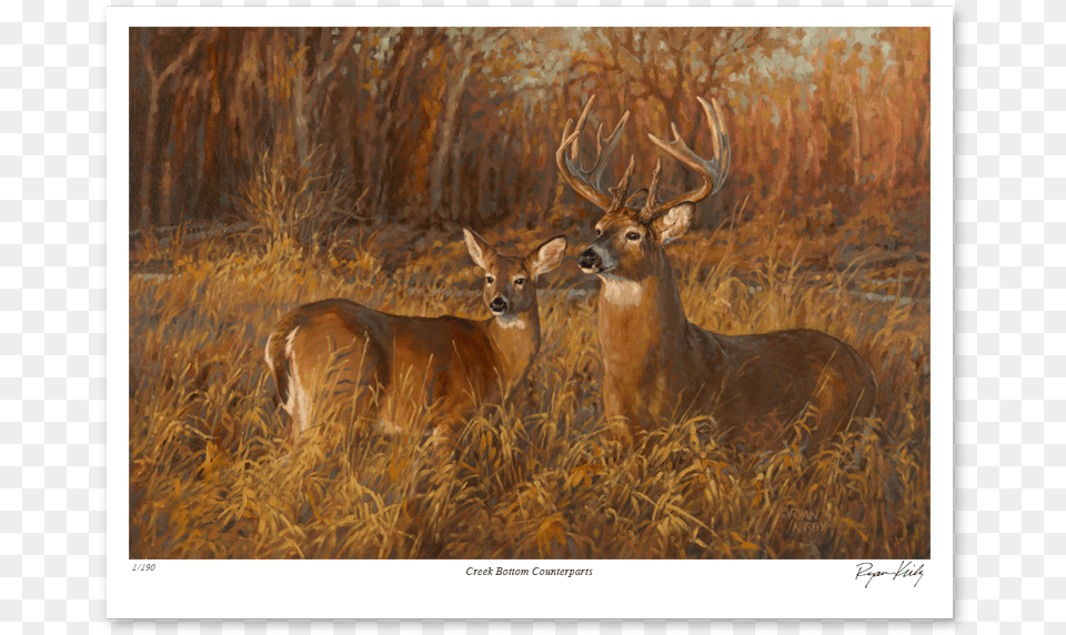 Ryan Kirby Creek Bottom Counterparts Nwtf Paper Print Antler, Animal, Antelope, Deer, Mammal Free Png Download