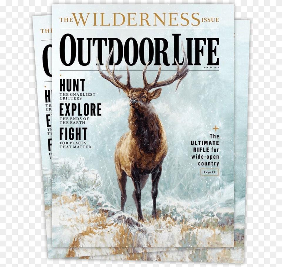 Ryan Kirby Elk In Snow Outdoor Life 2020, Animal, Deer, Mammal, Wildlife Png
