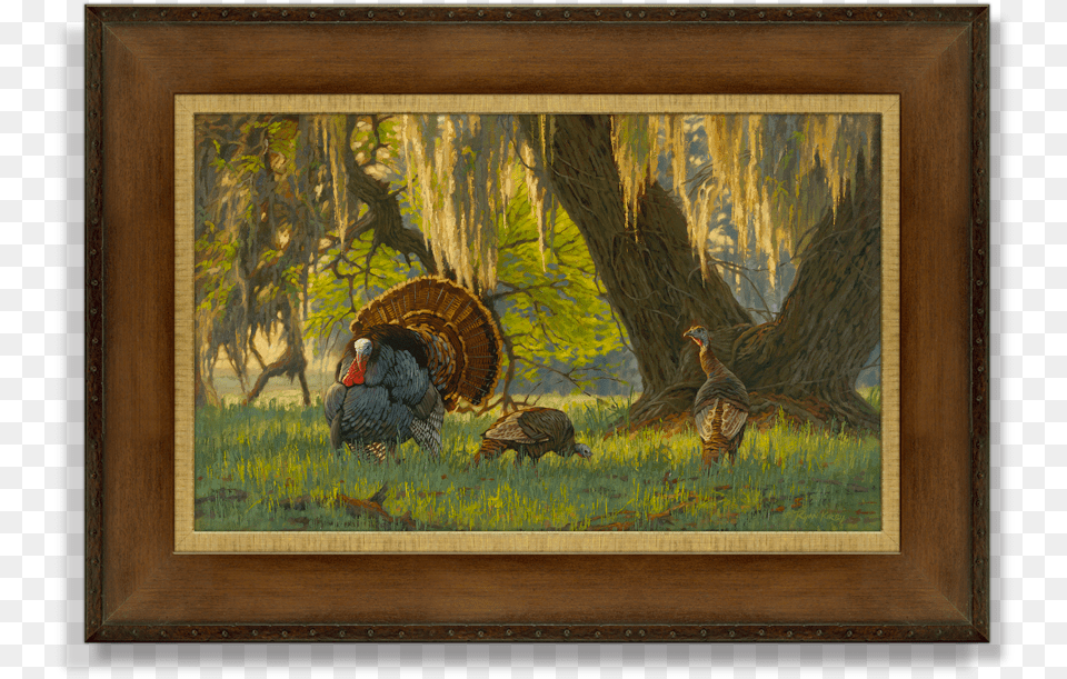 Ryan Kirby Wild Turkey Canvas Print Boss Of The Moss Wild Turkey, Animal, Bird, Chicken, Fowl Free Png