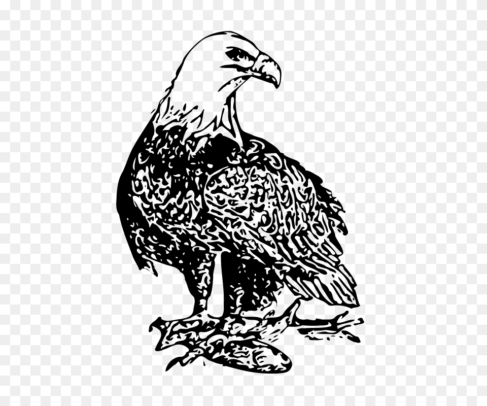 Ryanlerch Bald Eagle, Gray Free Png