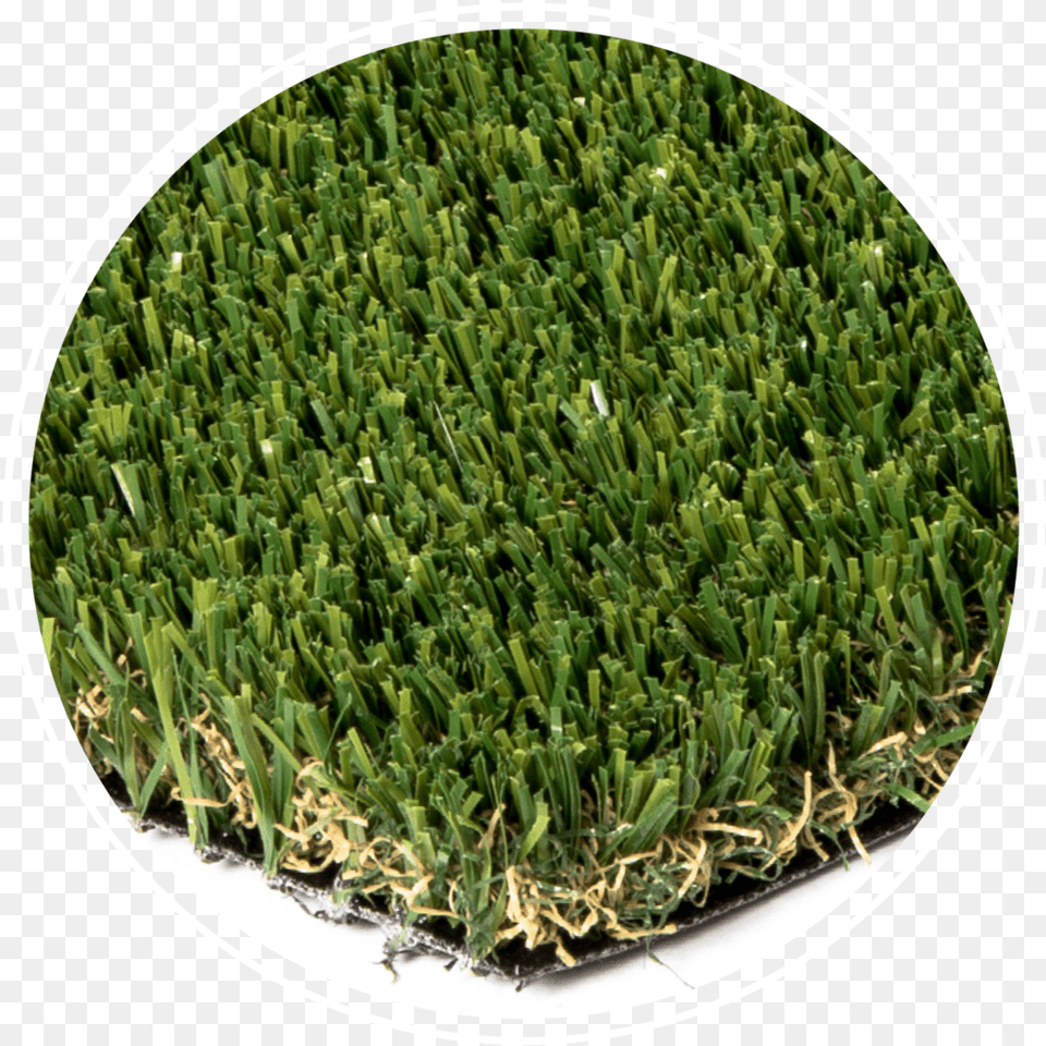 Rymar Pet Pro Fringe, Grass, Lawn, Moss, Plant Png Image