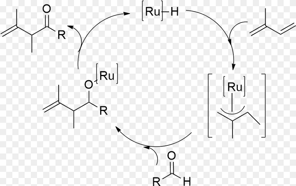 Ryu Mechanism Of Ru Catalyzed Hydroacylation Of A Diene Free Transparent Png