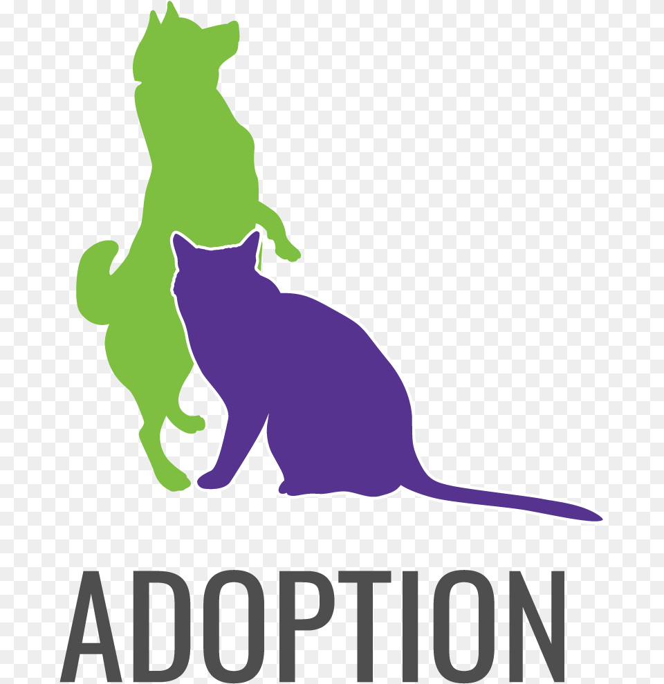 S Foster Team For An Adoption Event At Petsmart Fosters Anorexia Help, Animal, Cat, Mammal, Pet Free Transparent Png