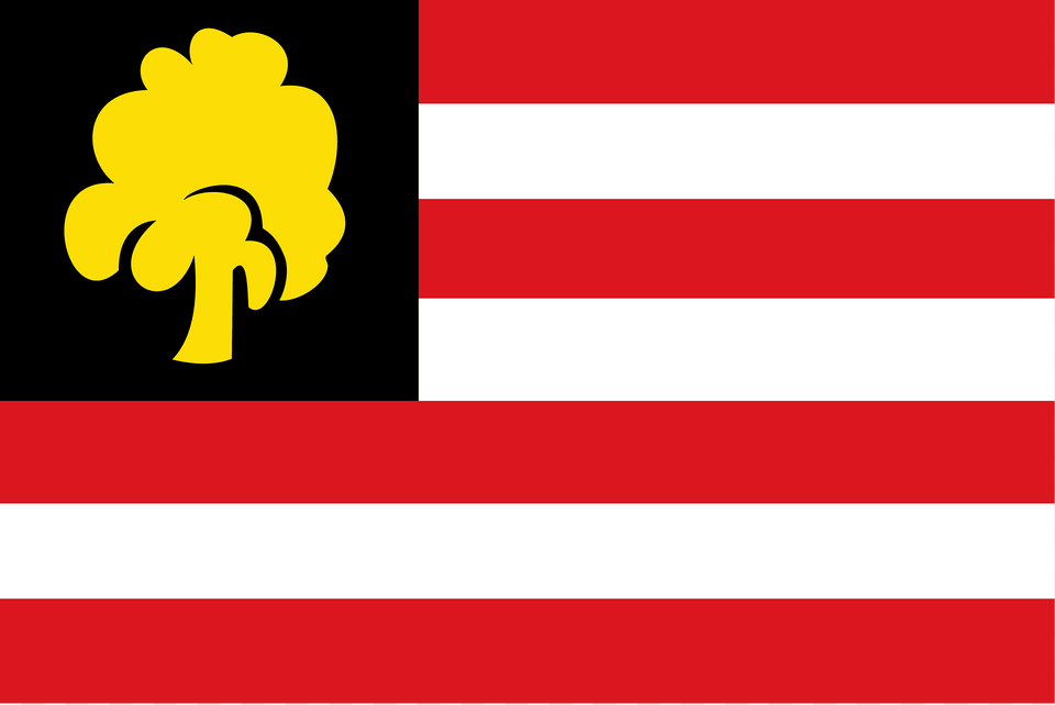 S Hertogenbosch Vlag 1957 Clipart, Flag, Austria Flag, Animal, Bear Png Image