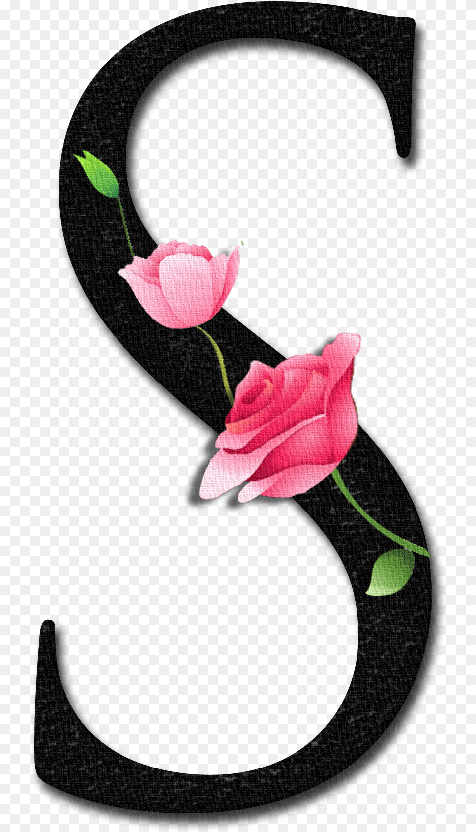 S Letter Alphabet Flower, Petal, Plant, Rose, Symbol Free Transparent Png