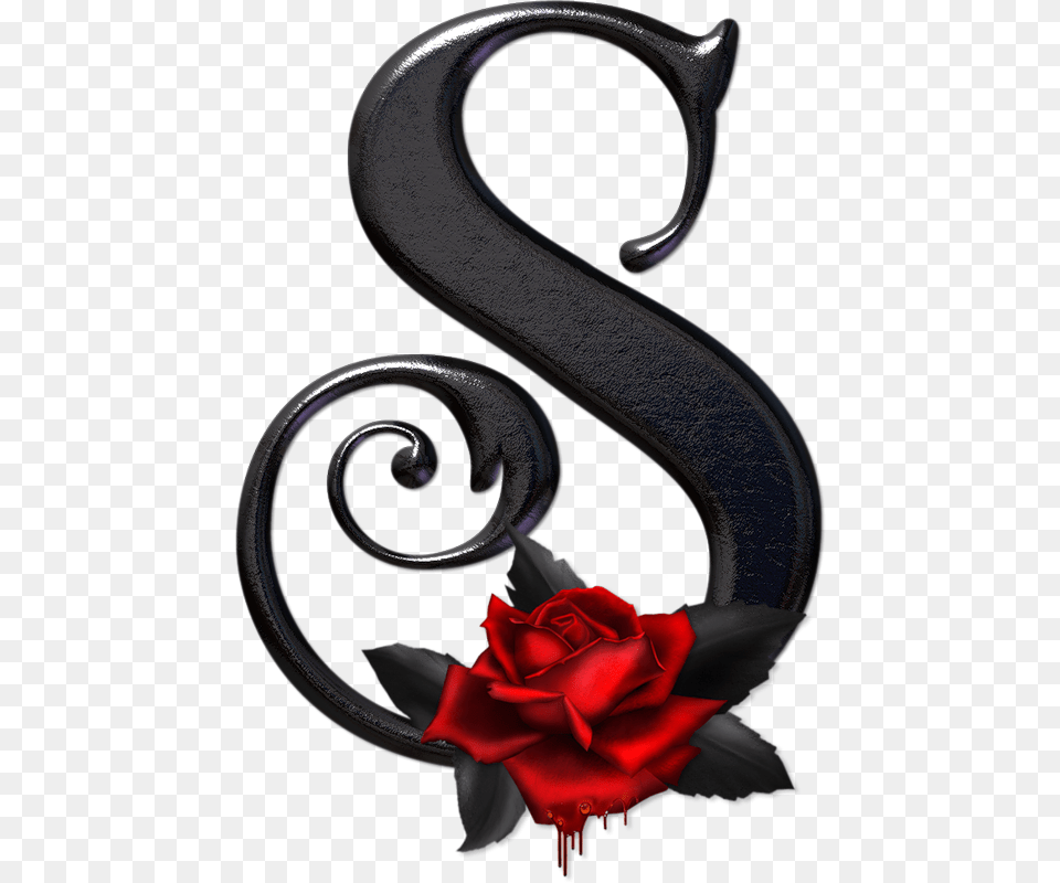 S Letter Image File New Letter S, Flower, Plant, Rose, Symbol Png
