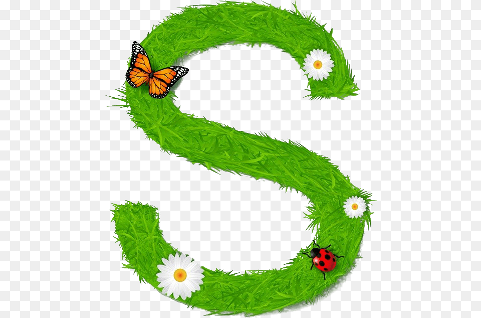 S Letter Image M Naam Ki, Animal, Insect, Invertebrate, Green Free Transparent Png