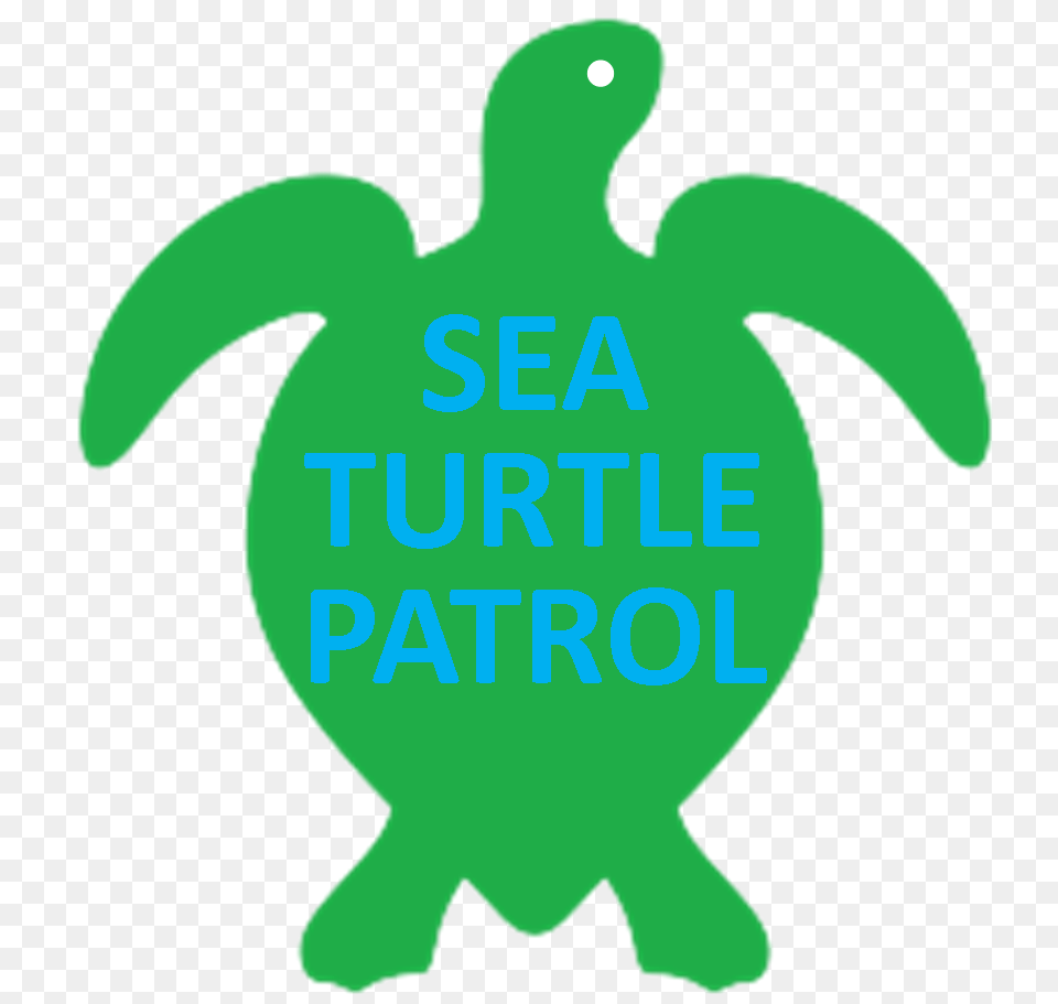 S O B A Sea Turtle Patrol, Animal, Reptile, Sea Life, Tortoise Free Png