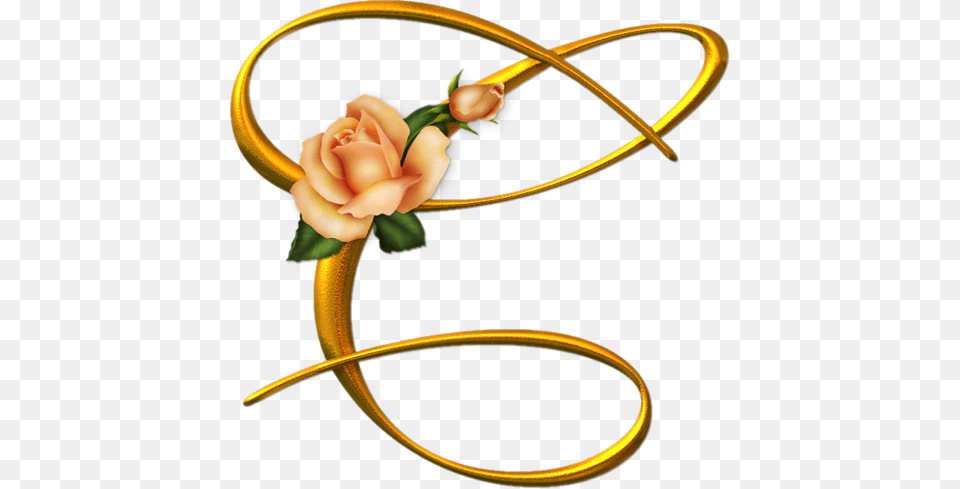 S Oranzhevimi Rozami Alphabet, Flower, Plant, Rose, Flower Arrangement Free Transparent Png